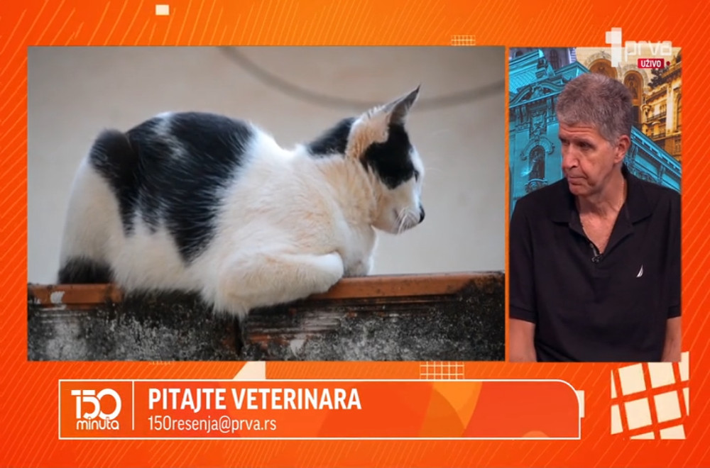 Veterinar Vladimir Terzin odgovara na vaša pitanja!