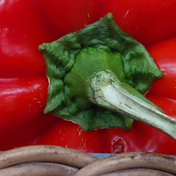 NE BACAJTE PETELJKE paprika: Iznenadićete se kada čujete za šta ih mnogi koriste...