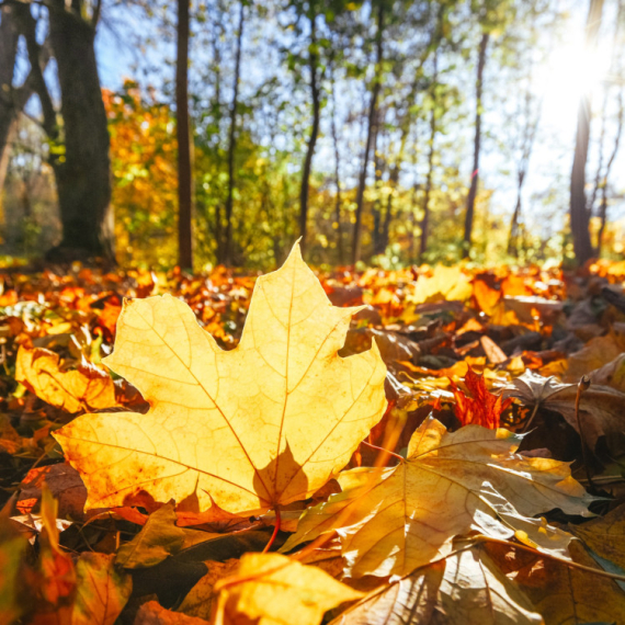 Neka vas sunčano vreme ne zavara; Evo kada je moguća kiša