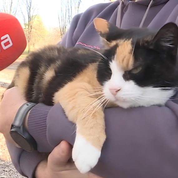 ONI NISU IGRAČKE! Evo šta treba da znate pre nego što detetu nabavite kućnog ljubimca (VIDEO)