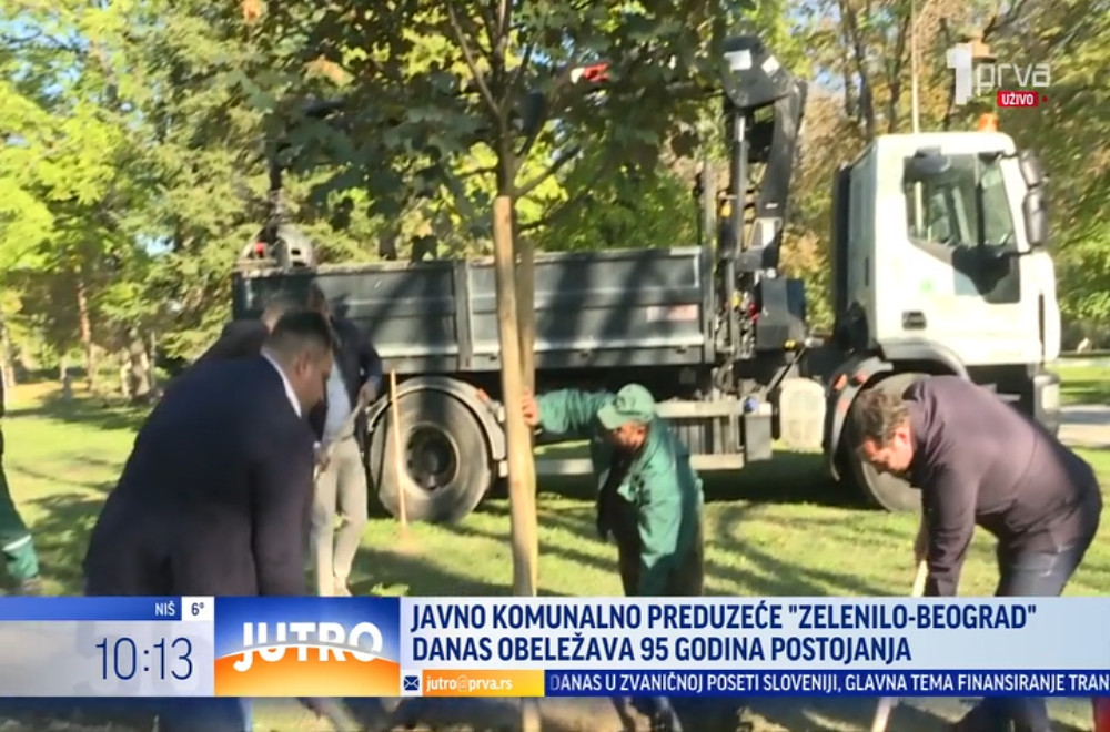 Vaterpolisti sade drveće povodom 95 godina JKP zelenilo