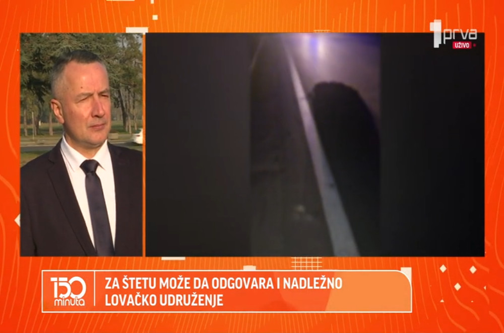 Dve saobraćajne nesreće zbog krda divljih svinja na auto-putu