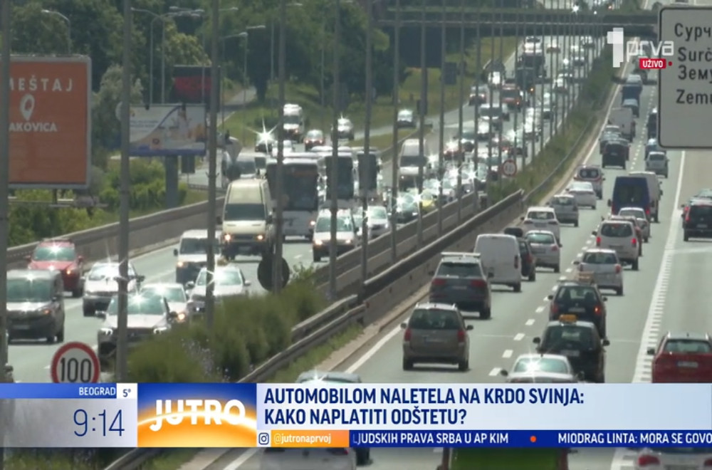 Kako vozač može da naplati odštetu automobila u slučaju da naiđe krdo divljih životinja na autoputu?