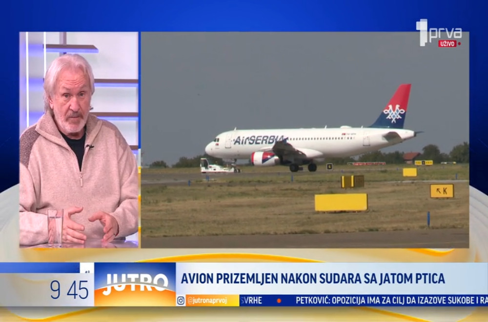 Da li jato ptica može biti opasnost za putnike u avionu?