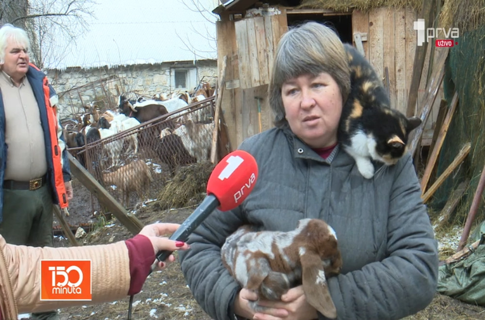 Ruskinja Tatjana je sa suprugom i ćerkom grad zamenila selom i sada se u Crnoj Gori bavi kozarstvom!