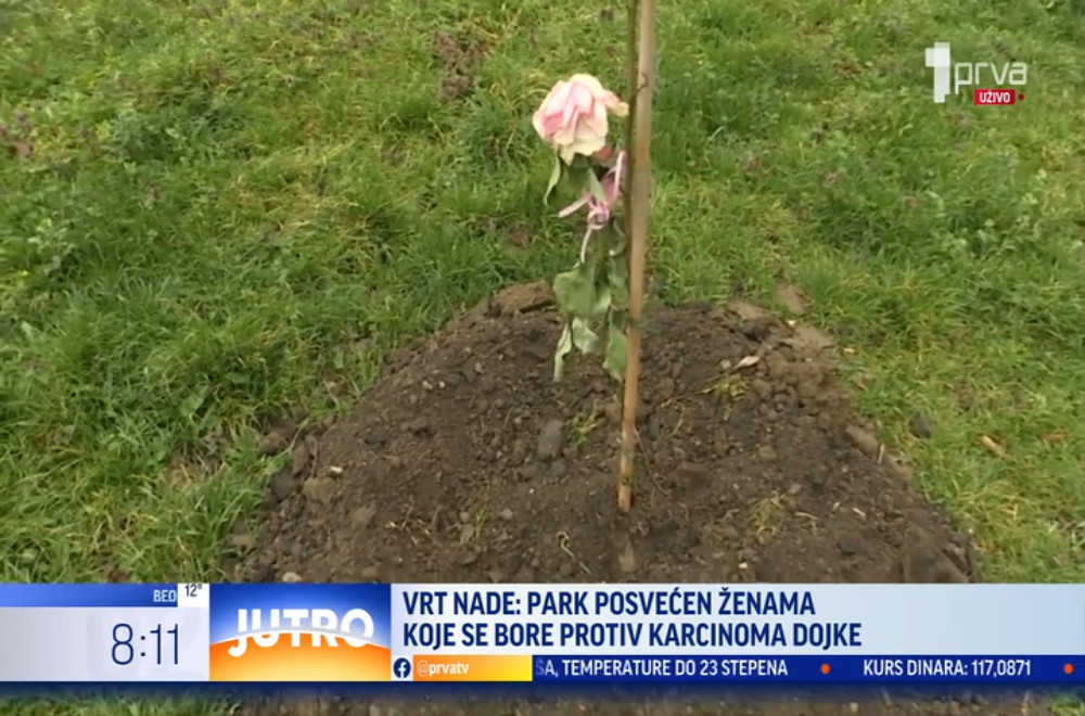 Daliborka je pobedila rak dojke, a sada pomaže drugim ženama koje biju istu bitku