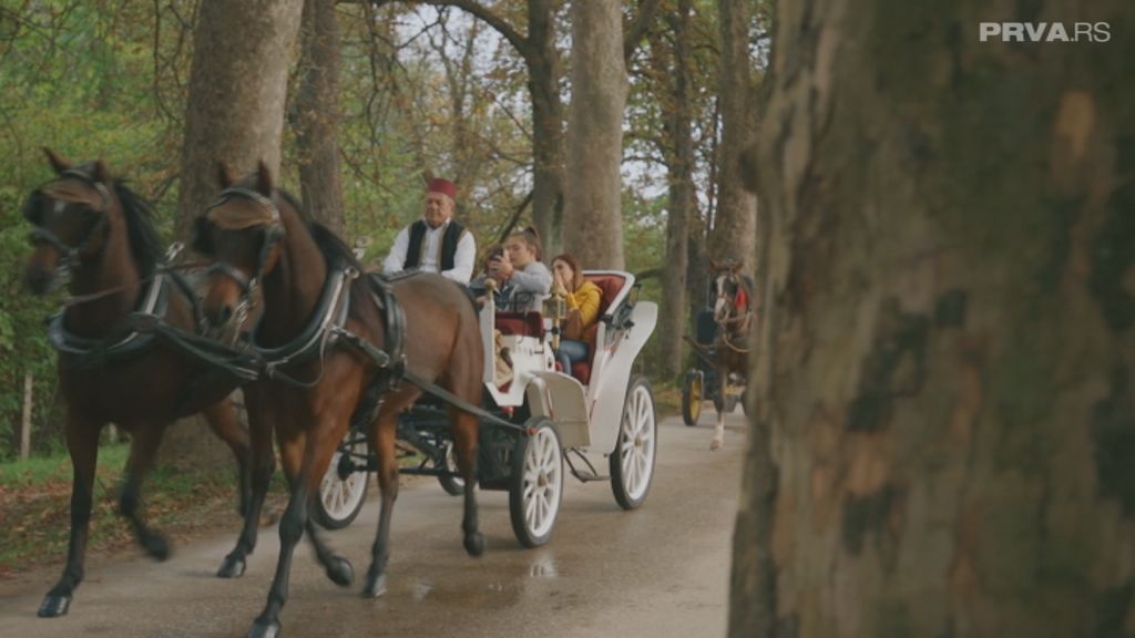 Radna akcija sa Tamarom - 4. sezona, 7. epizoda